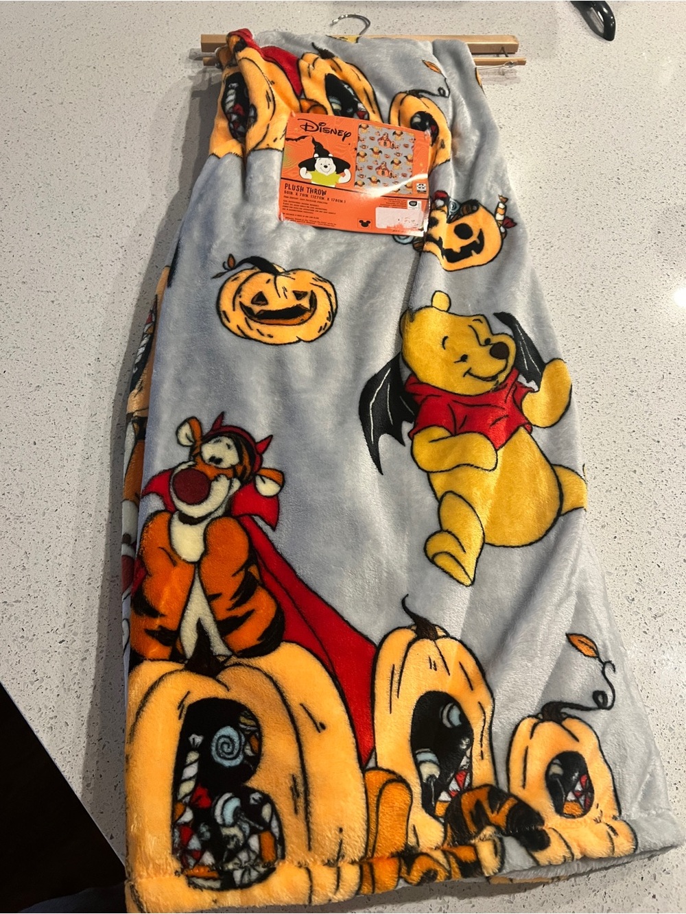 Disney Halloween Winnie the Pooh and Tigger  throw blanket 50x70
